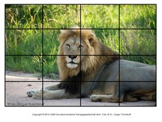 Puzzle-Löwe-4.pdf